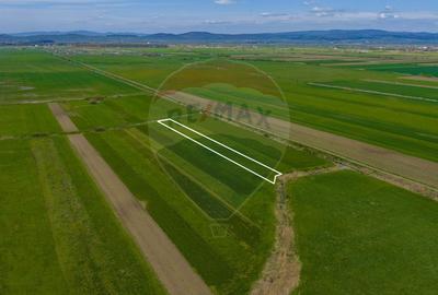 Teren agricol extravilan de 4000 mp, în Stupinii Prejmerului - 8