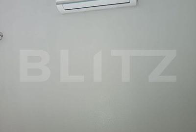 Spațiu comercial, de 230 mp, în Paltin - 4