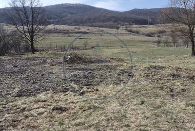 Spațiu comercial, în Coldău - 1