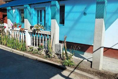 Casă cu 3 camere cu Teren 900 Mp în Șomcuta Mare - 8