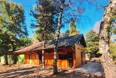 Spațiu comercial, de 120 mp, în Herăstrău - 2