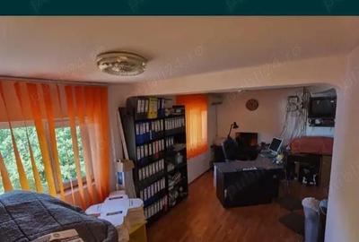 Casă cu Teren 1467 Mp în Plumbuita - 2