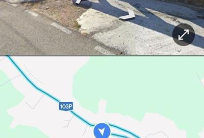 Teren de 3000 mp, în Bâsca Chiojdului - 1