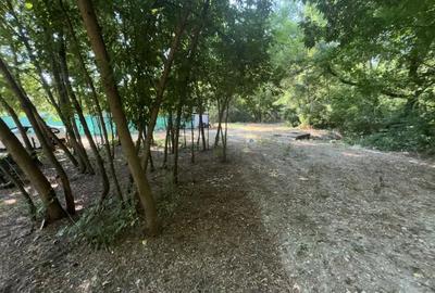 Spațiu comercial, de 262 mp, în Breasta - 2