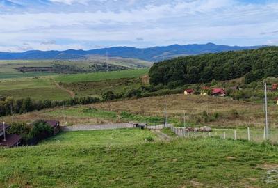 Spațiu comercial, în Ciurila - 1