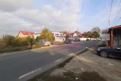 Teren în 1 Decembrie - 13