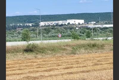 OFERTĂ PREMIUM - Teren intravilan 6.000 mp, Micești (Arges), pe DN 73 - 2