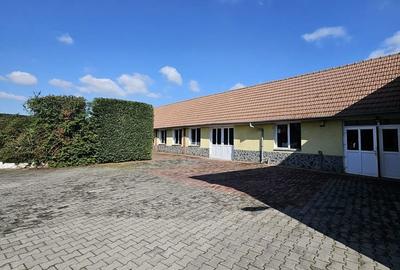 Spațiu comercial, de 220 mp, în Biharia - 5