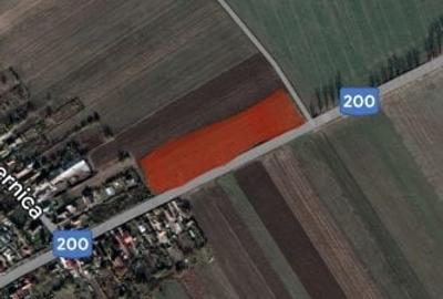 Teren 1000 mp intravilan , Dascalu, deschidere 35 m la DJ 200, 0744353659 - 3