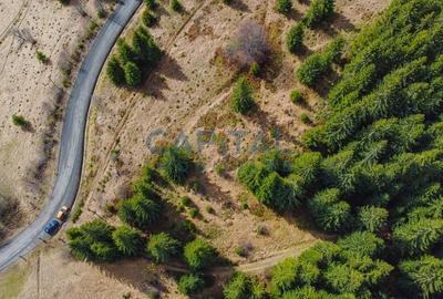 Teren Construcții intravilan de 7600 mp, în Beliș - 2