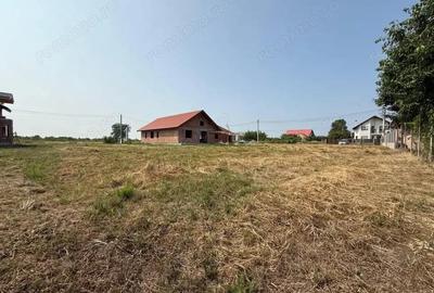 Inchiriem viitorul pe metru patrat, teren 800 mp, intravilan-Peciu Nou - 4