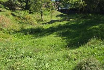 Teren de 900 mp, în Sadova