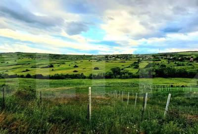 Teren de 425 mp, în Iris - 2