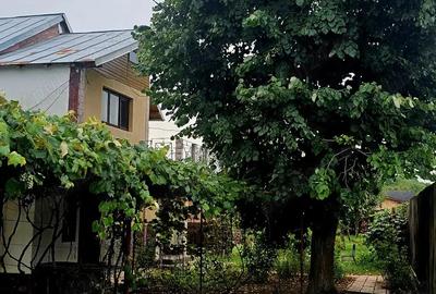 Casă cu 4 camere în Nisipoasa - 8