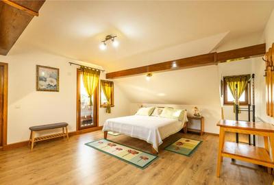 FILM! Pachet complet pt turism si sau rezidenta, Tohanita, Z - 12