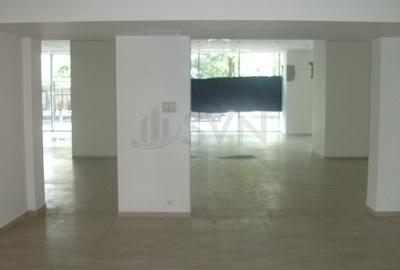 Spațiu comercial, de 251 mp, în Titulescu - 14