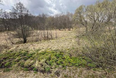 Spațiu comercial, în Brebu - 3