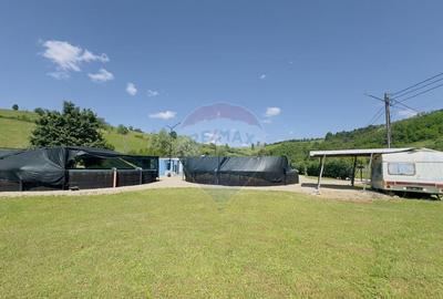 Pastravarie smart/ functionala/ Com.Rosia Bihor - 1