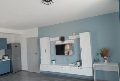 Apartament cu 2 camere semidecomandat în Cordău - 6
