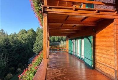 Cabana - Casa de vacanta situata in Muntele Rece! - 13