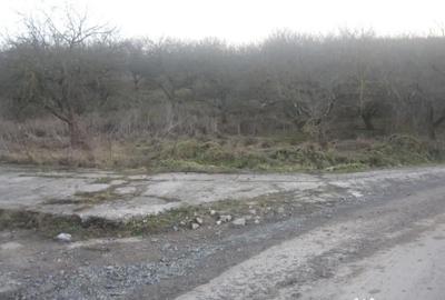 Teren de 2100 mp, în Baciu - 4