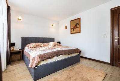 Refugiul Perfect de Lângă Timișoara - 35