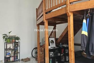 Vanzari Apartament 2 Camere Victoriei, Piata Amzei, Romana - 16