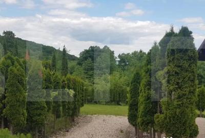 Casă cu 5 camere cu Teren 3000 Mp în Făget - 1