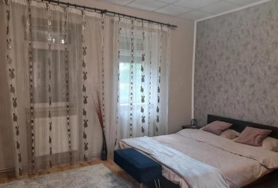Casă cu Teren 2049 Mp în Bazoș - 8