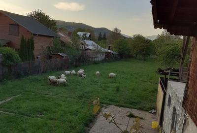 Teren de 1500 mp, în Exterior Vest - 3