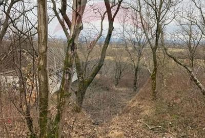 Teren în Central - 2