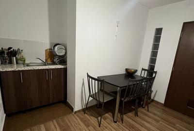 Apartament 3 camere Timisoara (Lipovei) - 3