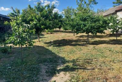 Casă cu 5 camere în Grojdibodu - 1