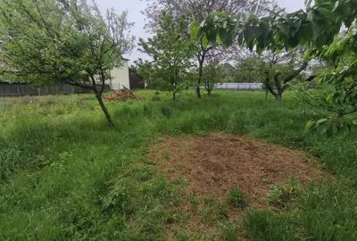Casă cu 4 camere cu Teren 1767 Mp în Rădăuți - 3