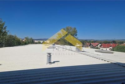 Hala industriala de vanzare in loc. Sfantul Gheorghe, jud. Covasna - 28