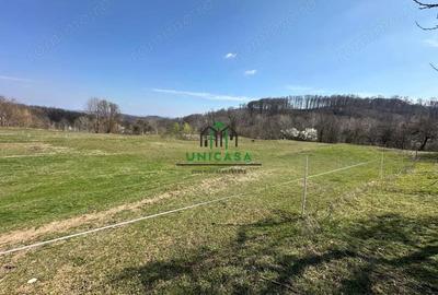 Teren de 8131 mp, în Băile Govora - 3