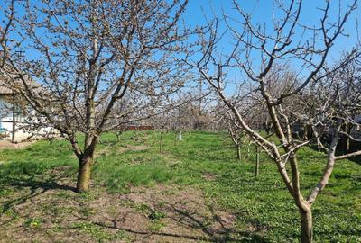 Casă cu 2 camere în Miron Costin - 3