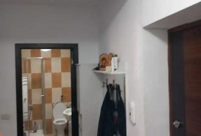 Apartament decomandat Valea Lupului - 1