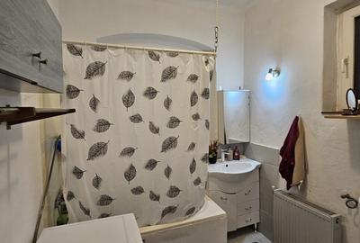 Elisabetin – Casa  4  Camere – Curte comuna - 7