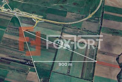 Teren extravilan arabil 4.803 mp - aproape de centura Timisoara Sud - 2