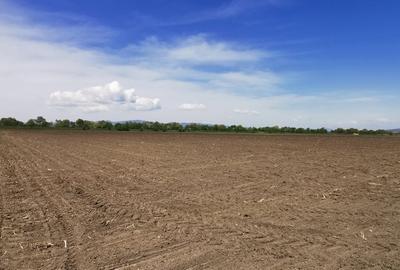 TEREN AGRICOL DE VANZARE - BOD - BRASOV 4,5 HA - 2