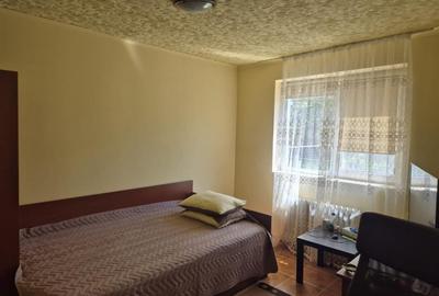 Apartament semidecomandat în Vidra - 2