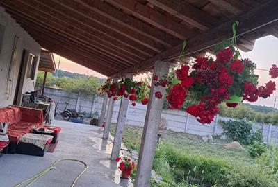 Casă cu 2 camere în Telești - 4