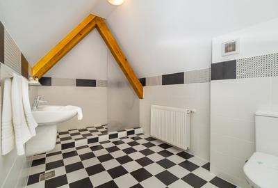 Apartament cu 3 camere decomandat, mobilat în Drumul Poienii - 3