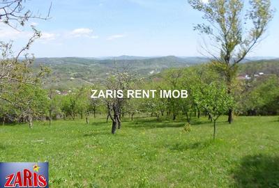 Teren de 3658 mp, în Bobicești - 1