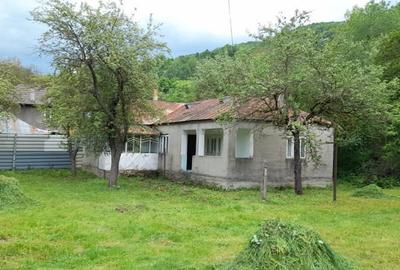 Casă cu 4 camere în Vulcăneasa - 10