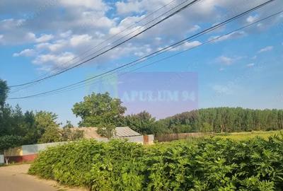 Teren de 4200 mp, în Teișori - 11