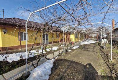 Casă cu 5 camere cu Teren 1000 Mp în Independența - 4