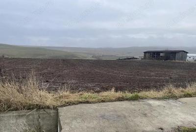 Teren 8.400 mp Negre?ti ideal gospodarie, ferma, natura ?i lini?te - 3