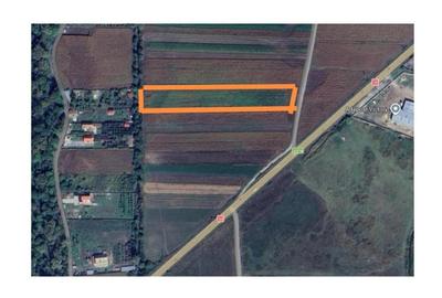 Teren agricol extravilan de 5100 mp, în Prejmer